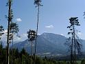 IMAG0018