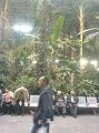 DSC00217