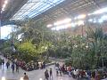 DSC00219